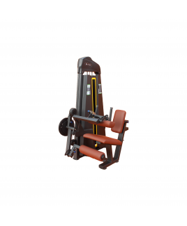 LEG EXT&LEG CURL MACHINE COMBO